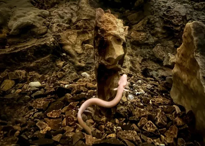 Ema * リュブリャナ